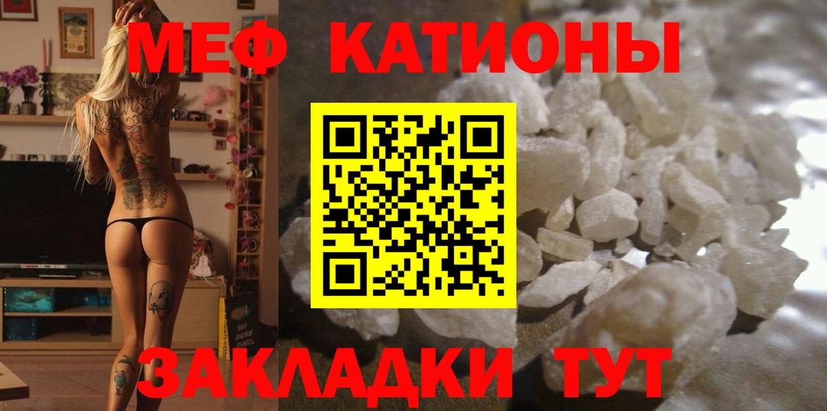 Новочеркасск  МЕФ  Вход с VPN  МЯУ-МЯУ мука  МЯУ-МЯУ мука 
