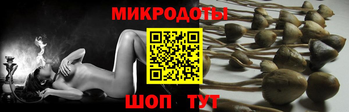 Новочеркасск  Галлюциногенные грибы прущие грибы  где найти наркотики  Вход с VPN  Псилоцибиновые грибы MAGIC MUSHROOMS 
